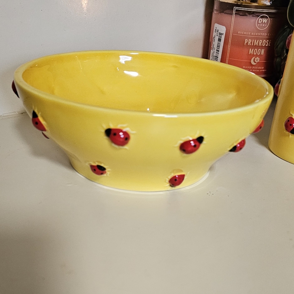 Department 56 Hand painted Lady Bug Bowl And Mug Set- New - Picture 7 of 10